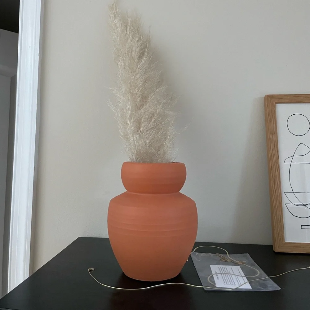 West Elm Terracotta Vase